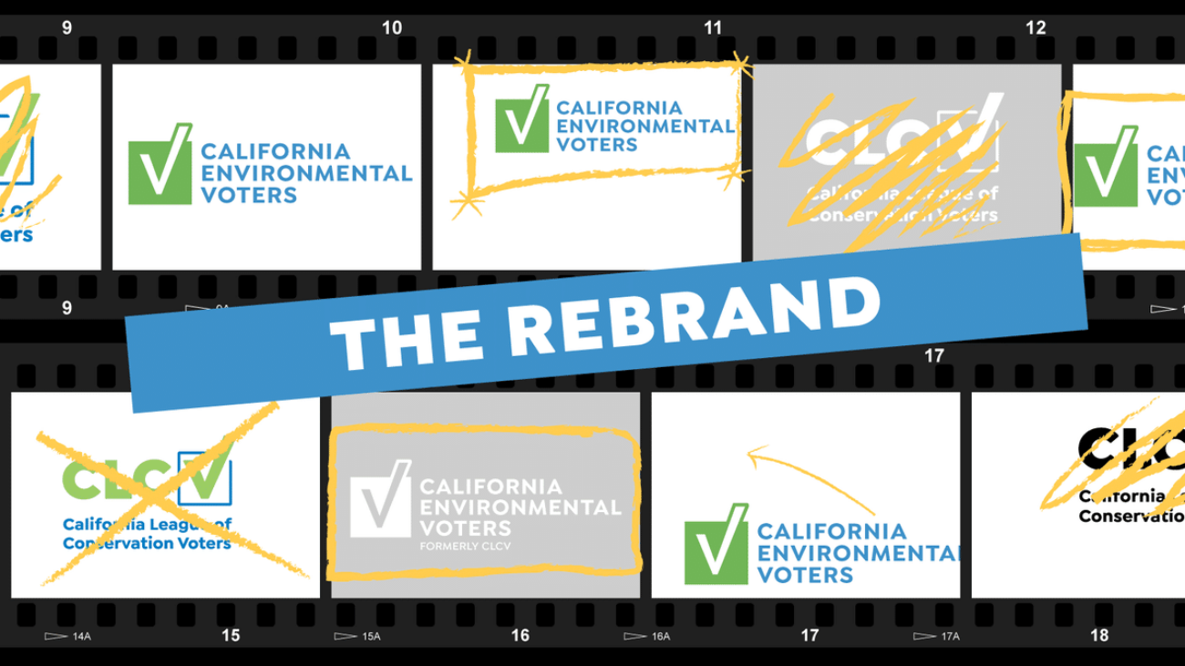 rebrandfilm-Twitter